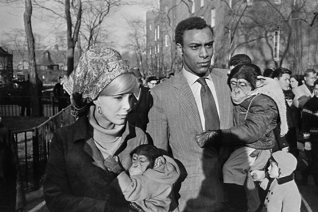 Garry Winogrand2